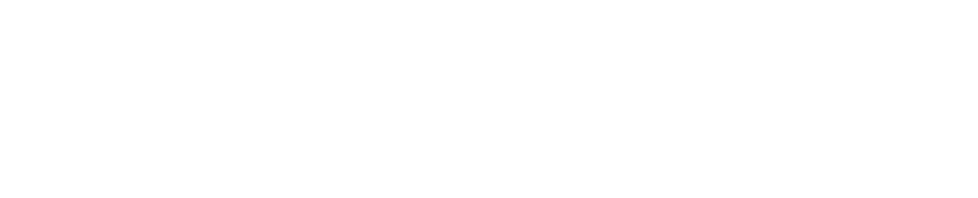 Company Info